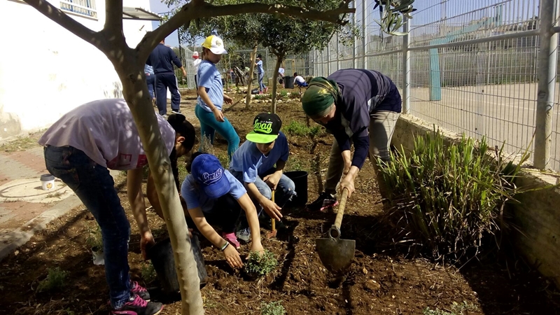 ג'דיידה מאכר - בניית גינה בבית ספר