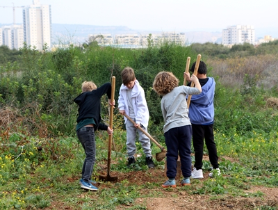 ילדים עובדים בגינה