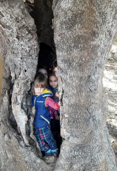 ילדים מציצים מתוך גזע עץ