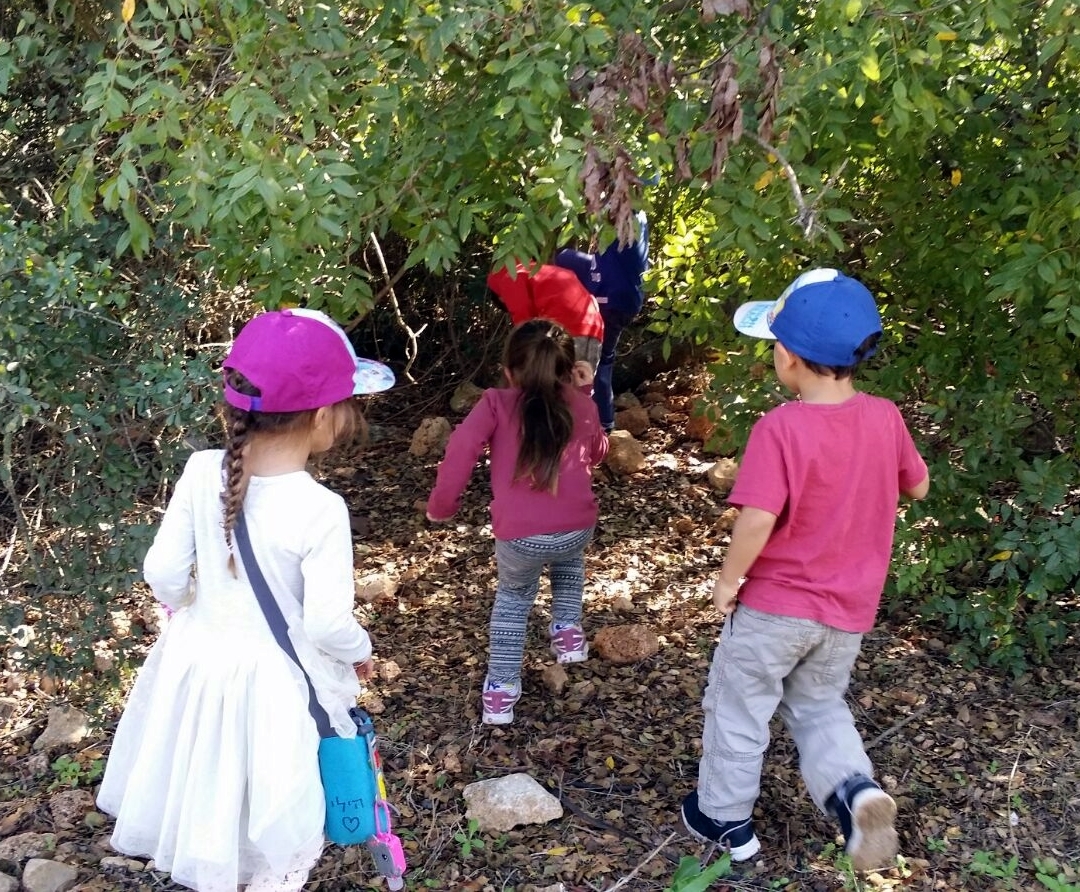 הרשת הירוקה: למידה משמעותית - ילדים בין השיחים