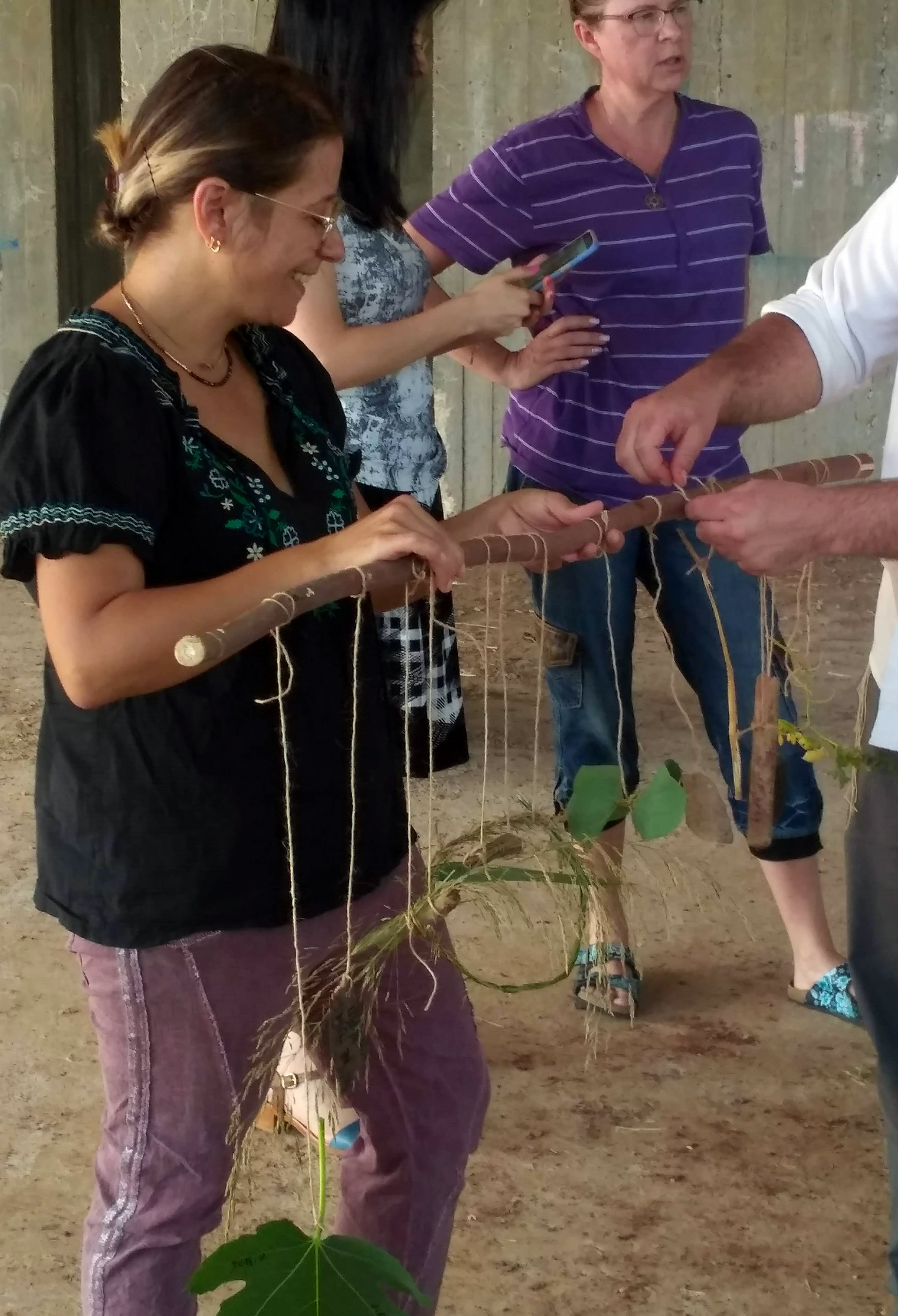 הרשת הירוקה: חינוך חוץ - מנחת ההשתלמות למורים