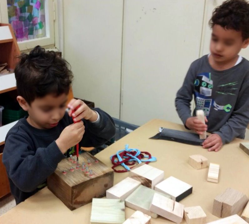 הרשת הירוקה: ילדים מבריגים בעץ