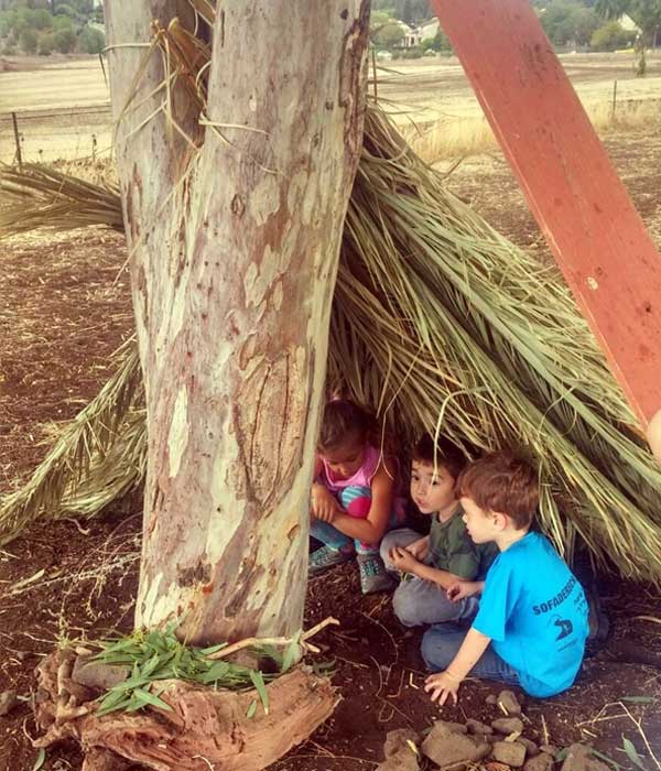הרשת הירוקה: לשחק בחוץ, בלי הנחיות - ילדים משחקים בטבע