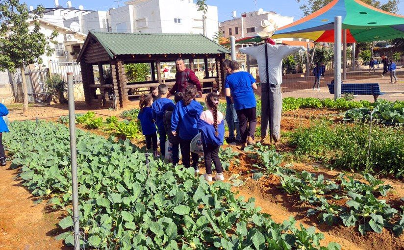 מאמר מרחבים ירוקים טירה נג'אח 2 בית הספר א-נג'אח, טירה