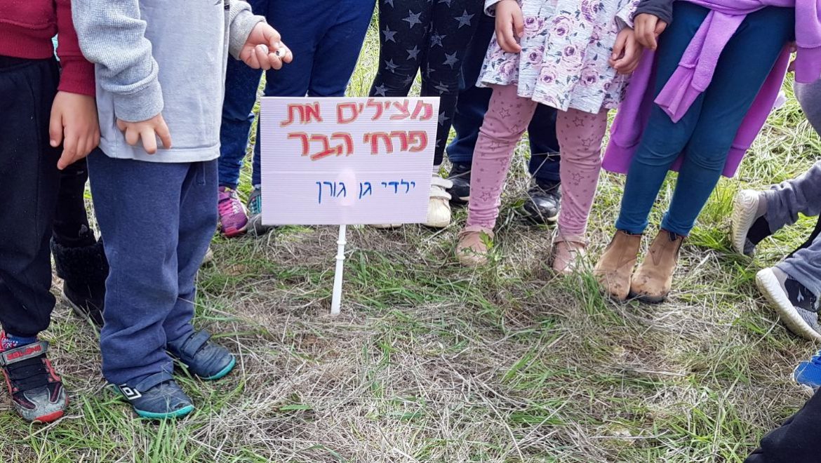 מארגז החול לגל החום – חינוך אקלימי בגיל הרך