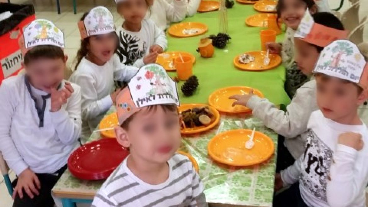 הצעה לסדר: סעודת ט"ו בשבט בגן
