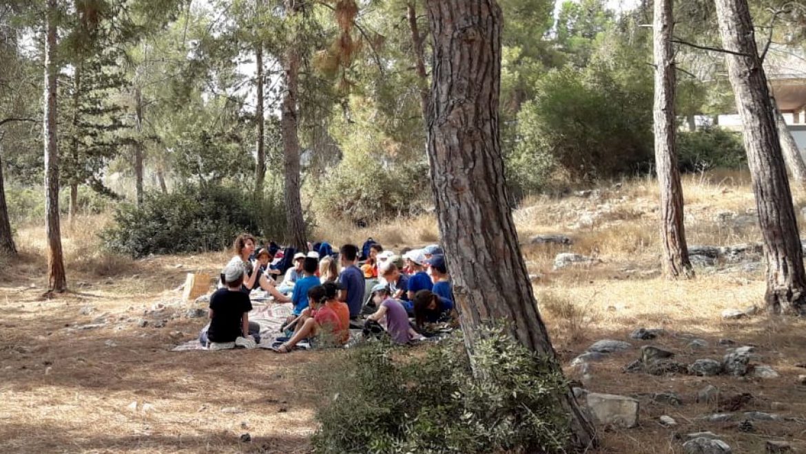 פותחים נתיב לקיימות